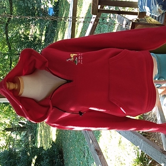 Vintage Dr. SEUSS medium Do You like green eggs & ham hoodie - Picture 1 of 4